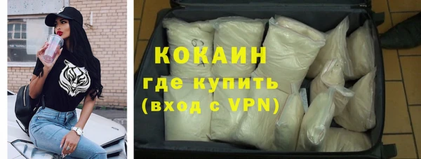соль ск Болотное