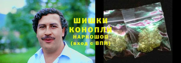 дурь Болохово