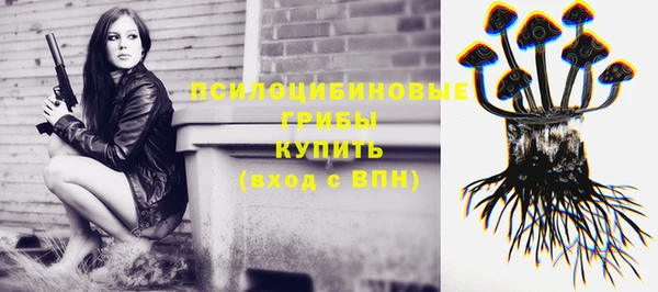 соль ск Болотное